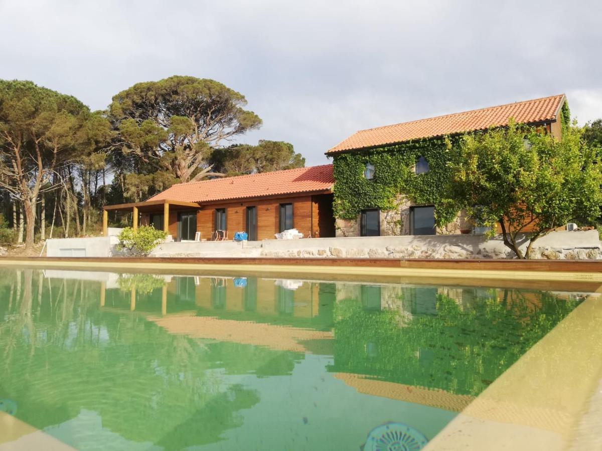 Villa Casas Do Pinheiro Grande à Fornos de Algodres Extérieur photo