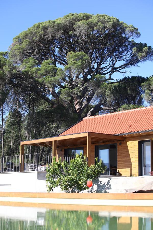 Villa Casas Do Pinheiro Grande à Fornos de Algodres Extérieur photo